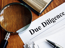 Due-Diligence-Investigation