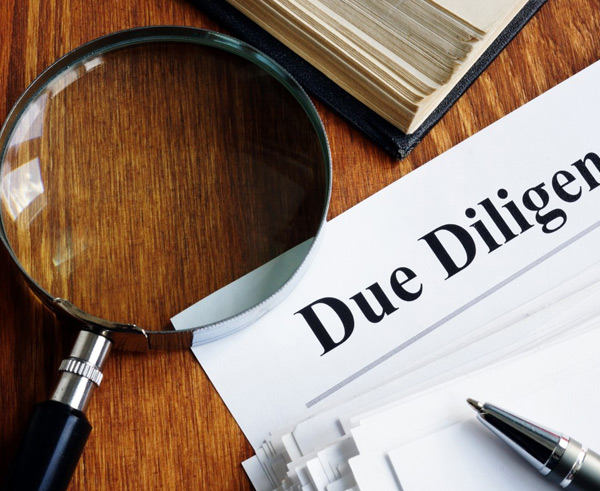 Due-Diligence-Investigation